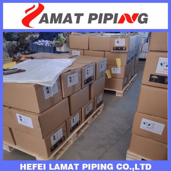 En10241 Оцинкованные фитинги из кованой стали Sch40/Sch80/Sch160 Задняя гайка